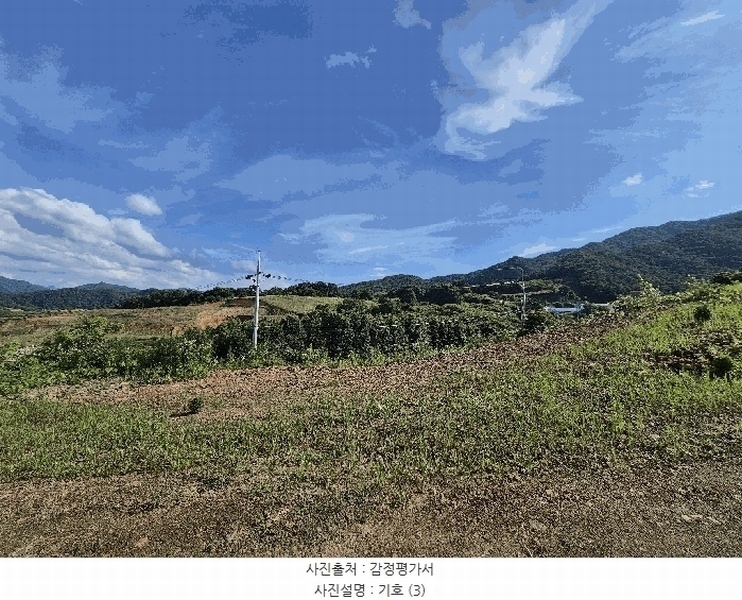 2025타경51420 충청북도 괴산군 청천면 금평리 20-1 임야 경매 이미지