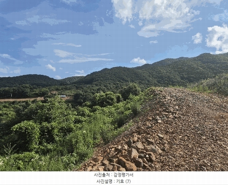 2025타경51420 충청북도 괴산군 청천면 금평리 20-1 임야 경매 이미지