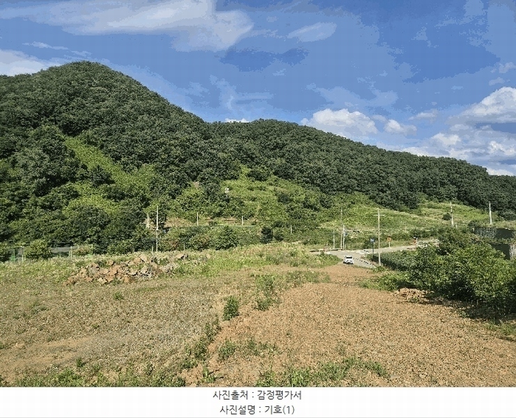 2025타경51420 충청북도 괴산군 청천면 금평리 20-1 임야 경매 이미지