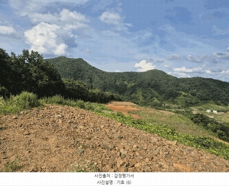 2025타경51420 충청북도 괴산군 청천면 금평리 20-1 임야 경매 이미지