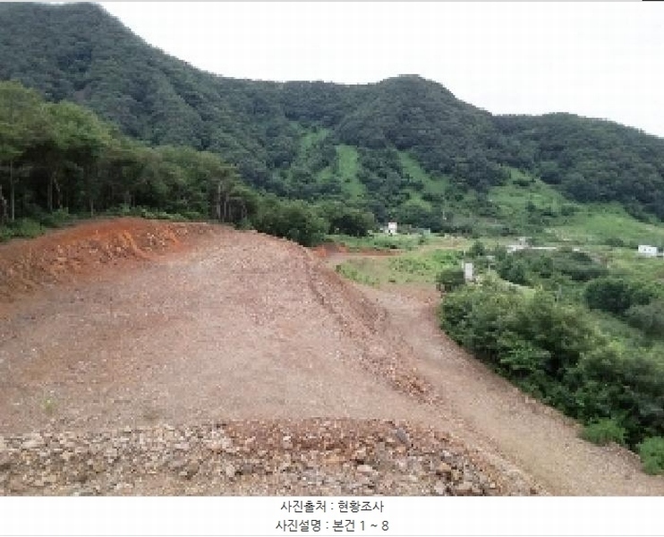 2025타경51420 충청북도 괴산군 청천면 금평리 20-1 임야 경매 이미지
