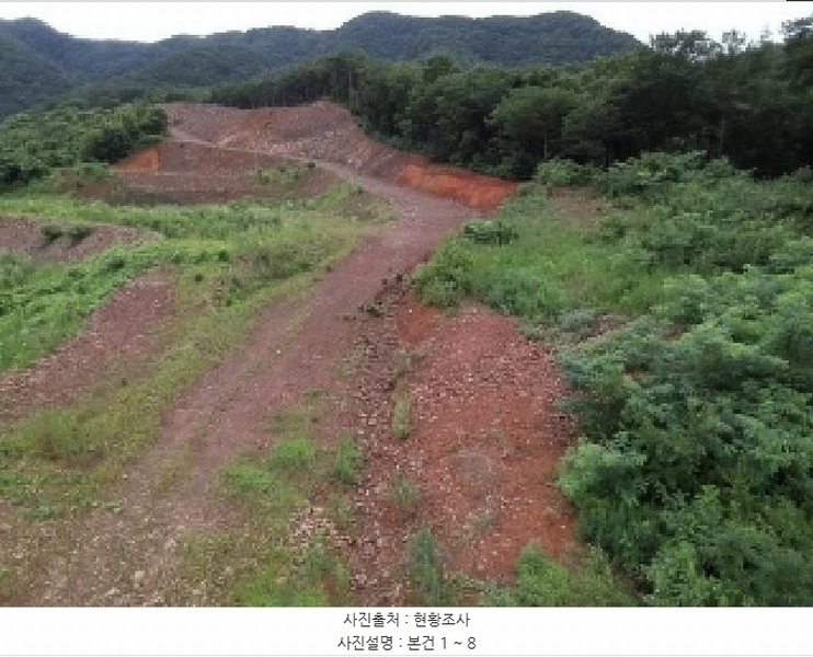 2025타경51420 충청북도 괴산군 청천면 금평리 20-1 임야 경매 이미지