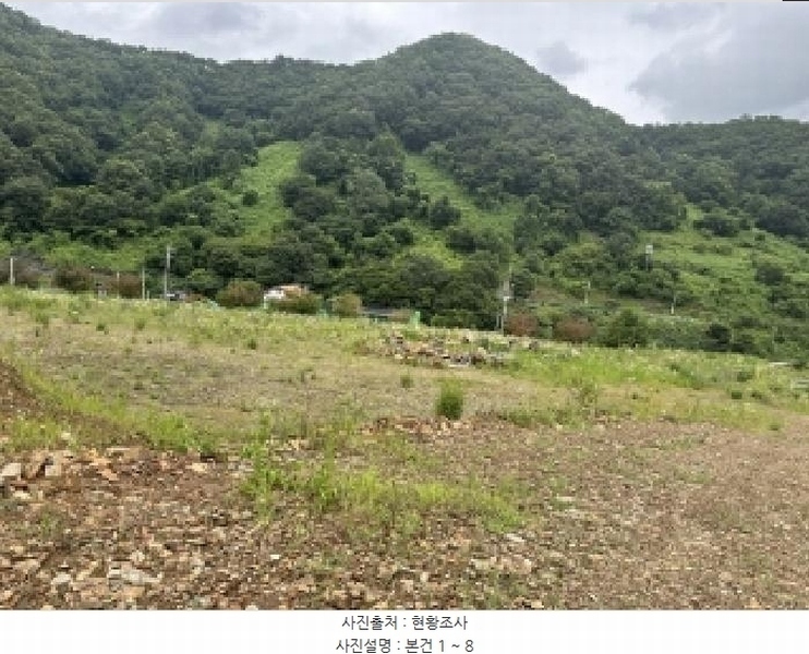 2025타경51420 충청북도 괴산군 청천면 금평리 20-1 임야 경매 이미지