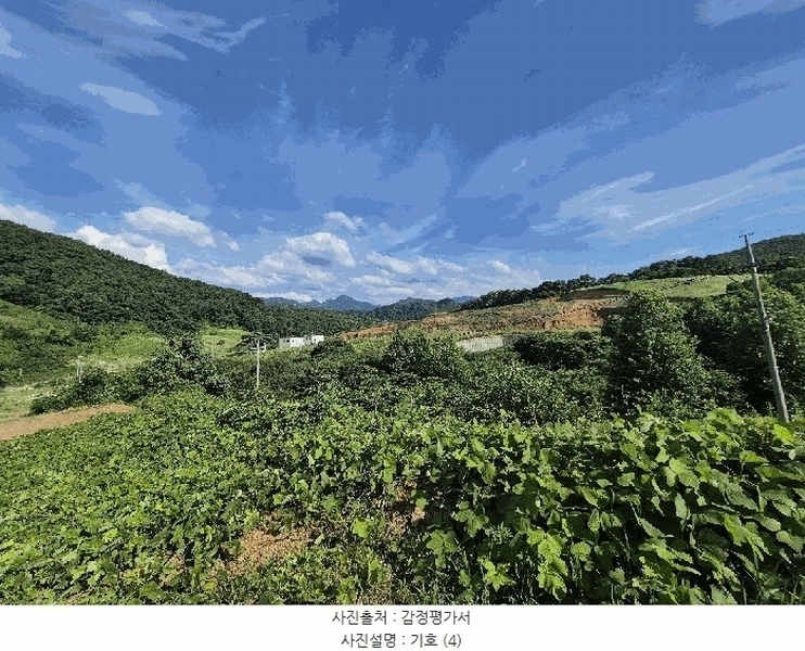 2025타경51420 충청북도 괴산군 청천면 금평리 20-1 임야 경매 이미지