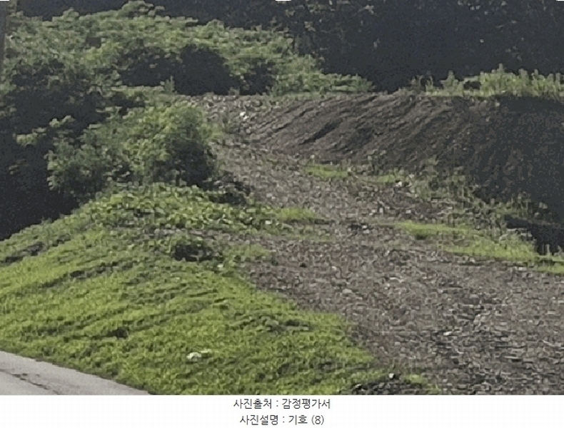 2025타경51420 충청북도 괴산군 청천면 금평리 20-1 임야 경매 이미지