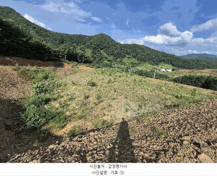 2025타경51420 충청북도 괴산군 청천면 금평리 20-1 임야 경매 이미지
