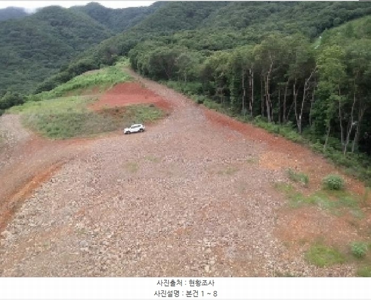 2025타경51420 충청북도 괴산군 청천면 금평리 20-1 임야 경매 이미지