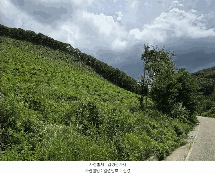 2025타경51445 충청북도 괴산군 청안면 장암리 산32-1 임야 경매 이미지