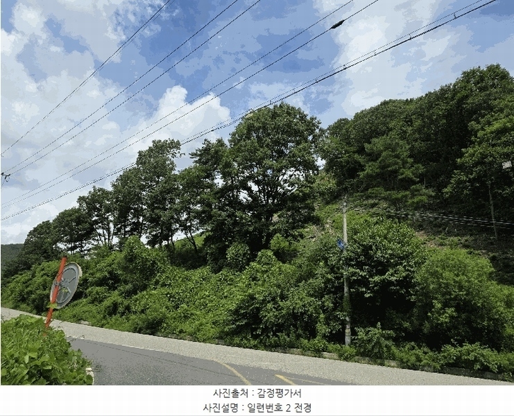 2025타경51445 충청북도 괴산군 청안면 장암리 산32-1 임야 경매 이미지
