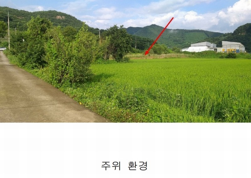 2025타경51605 충청북도 괴산군 연풍면 갈금리 162-1 농지 경매 이미지