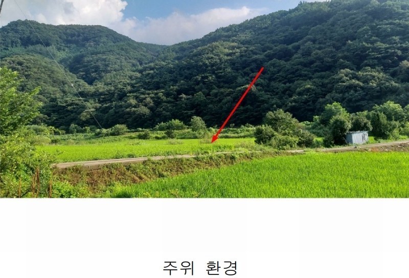 2025타경51605 충청북도 괴산군 연풍면 갈금리 162-1 농지 경매 이미지