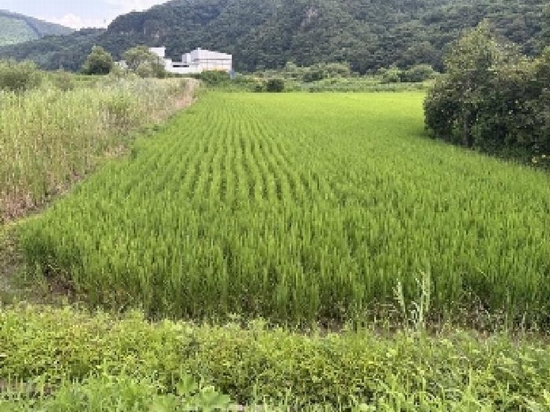 2025타경51605 충청북도 괴산군 연풍면 갈금리 162-1 농지 경매 이미지