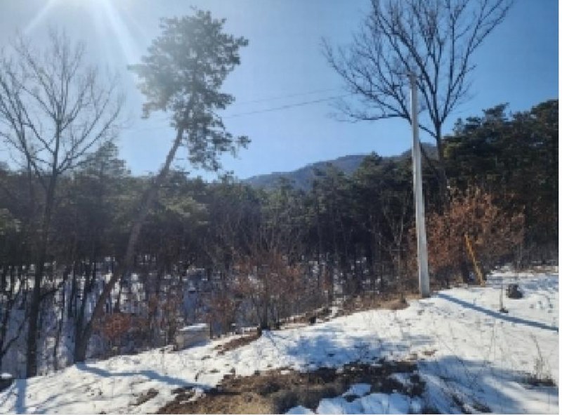2024타경63430 충청북도 진천군 이월면 노원리 산33-3 임야 경매 이미지