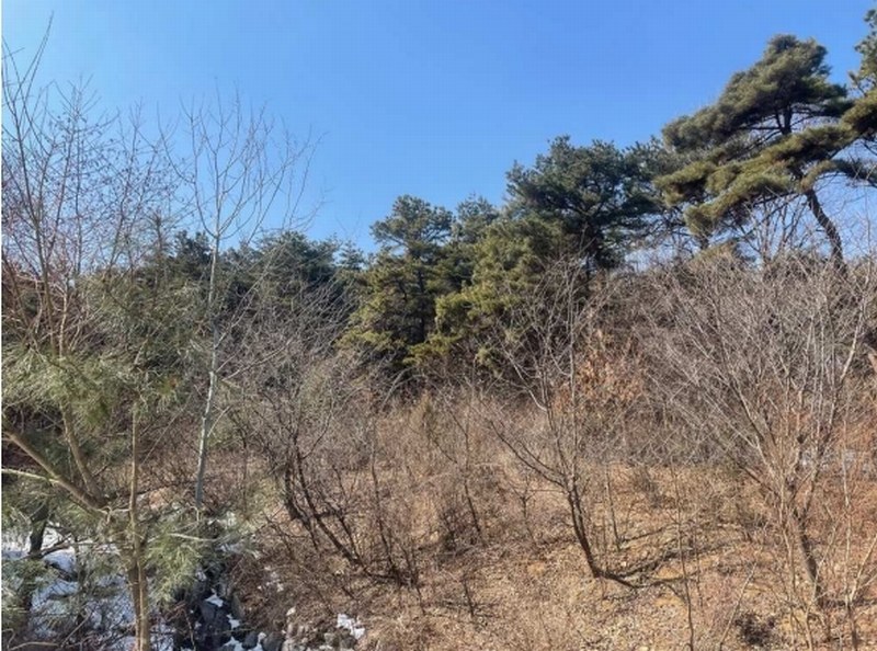 2024타경63430 충청북도 진천군 이월면 노원리 산33-3 임야 경매 이미지