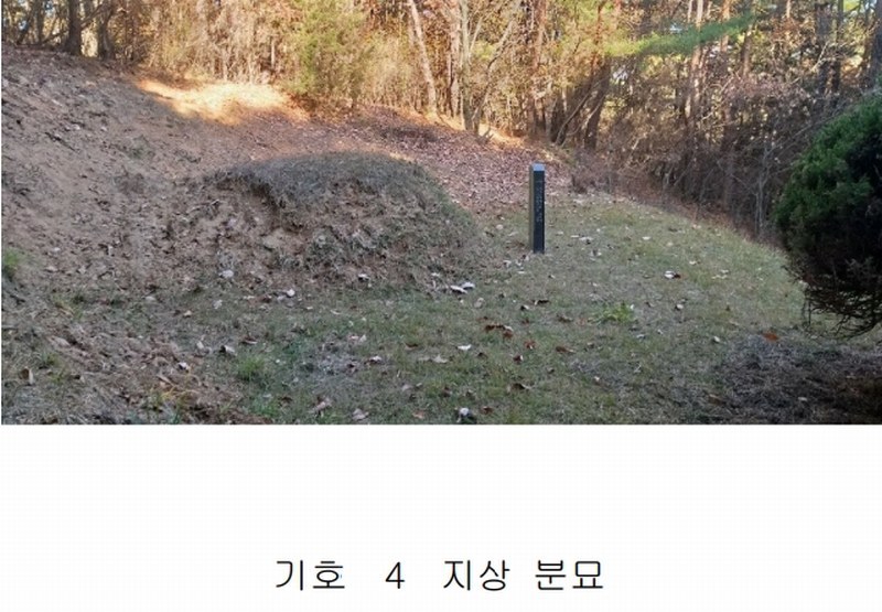 2024타경63430 충청북도 진천군 이월면 노원리 산33-3 임야 경매 이미지