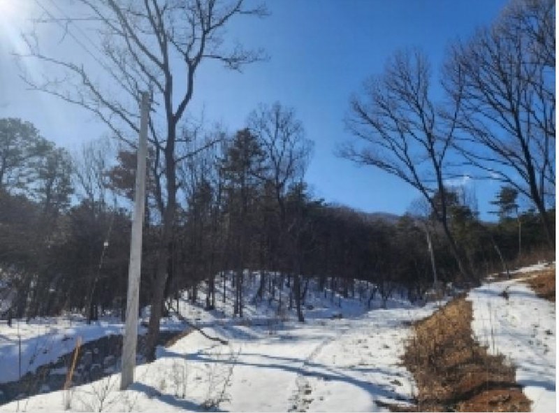 2024타경63430 충청북도 진천군 이월면 노원리 산33-3 임야 경매 이미지