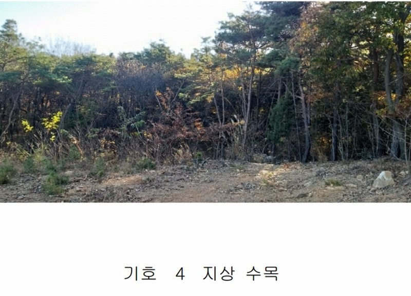 2024타경63430 충청북도 진천군 이월면 노원리 산33-3 임야 경매 이미지