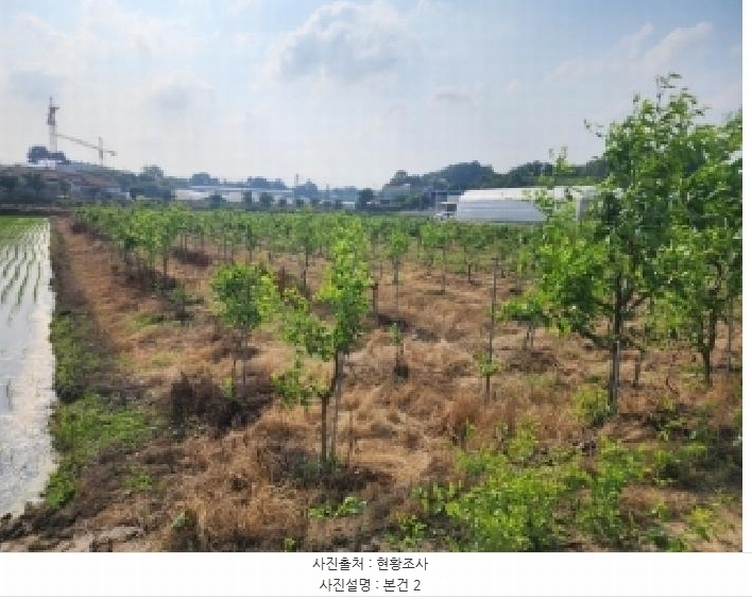 2025타경2616 충청북도 진천군 이월면 신월리 183 농지 경매 이미지
