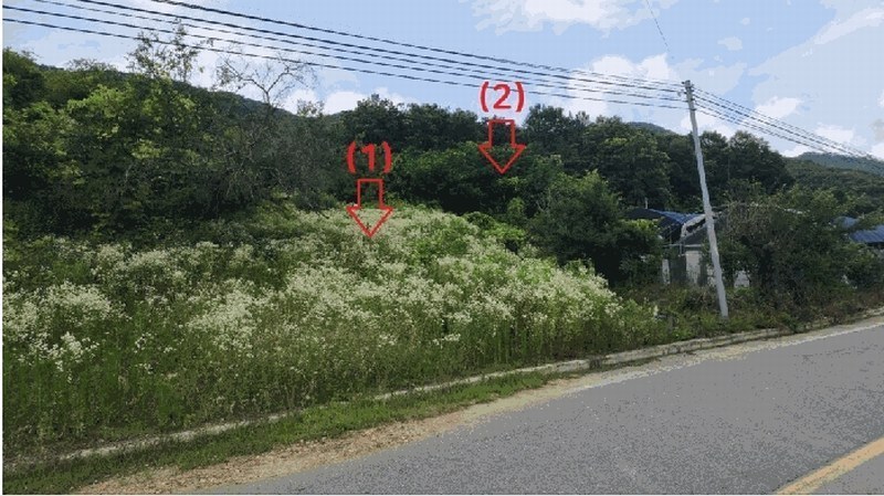 2025타경2708 충청북도 괴산군 감물면 구월리 146 농지 경매 이미지