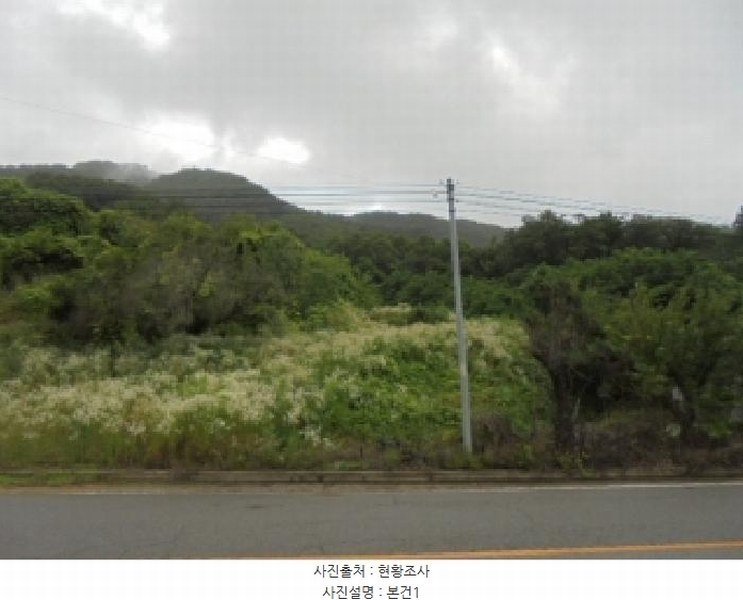 2025타경2708 충청북도 괴산군 감물면 구월리 146 농지 경매 이미지