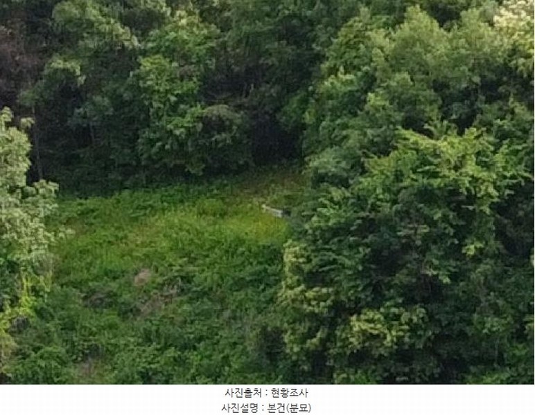 2025타경2753 충청북도 괴산군 불정면 웅동리 산41-5 임야 경매 이미지