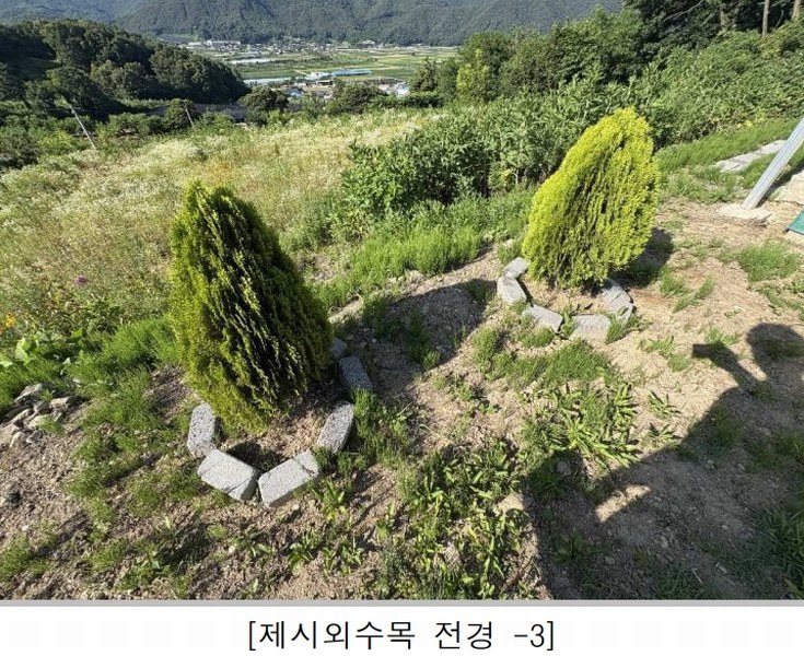 2025타경3091 충청북도 괴산군 불정면 목도리 719 주택 경매 이미지