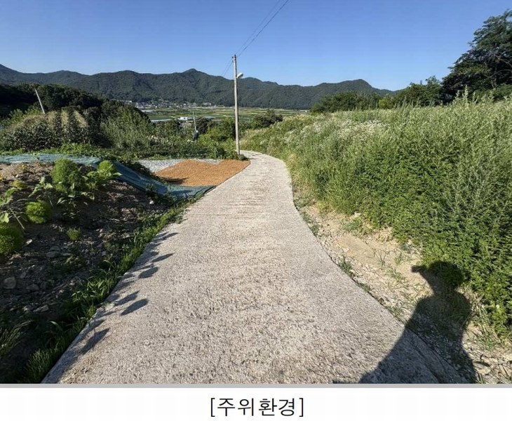 2025타경3091 충청북도 괴산군 불정면 목도리 719 주택 경매 이미지