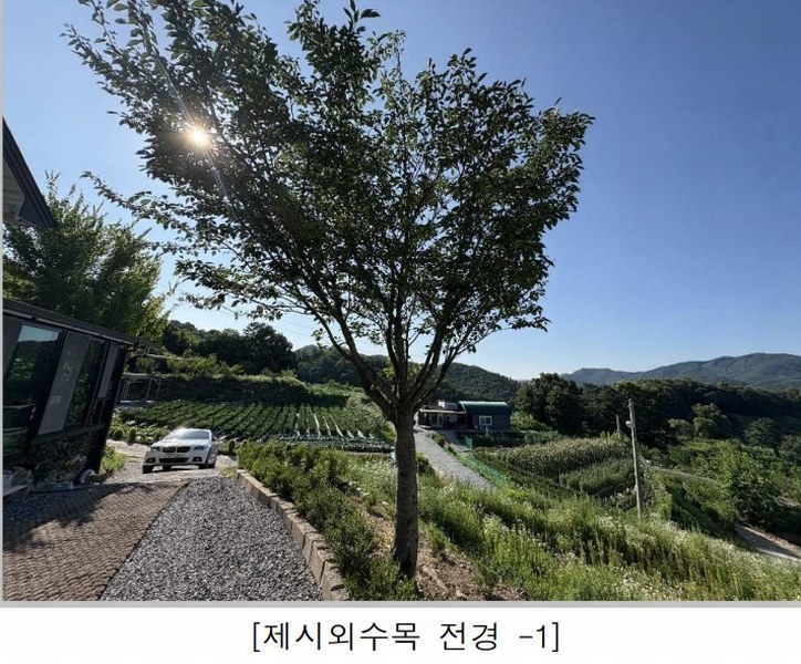 2025타경3091 충청북도 괴산군 불정면 목도리 719 주택 경매 이미지