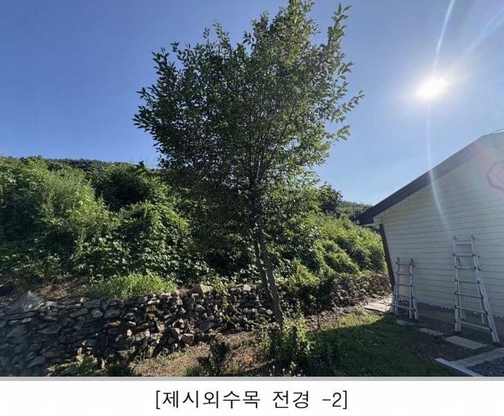2025타경3091 충청북도 괴산군 불정면 목도리 719 주택 경매 이미지