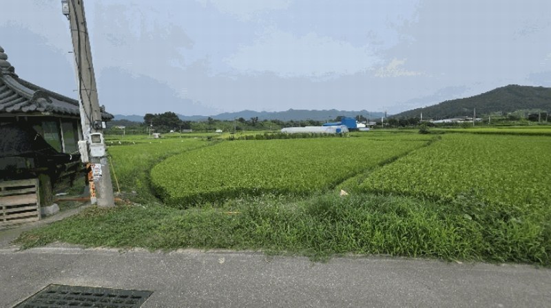 2025타경3961 충청북도 증평군 증평읍 남하리 419 농지 경매 이미지