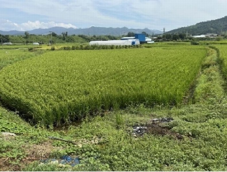 2025타경3961 충청북도 증평군 증평읍 남하리 419 농지 경매 이미지