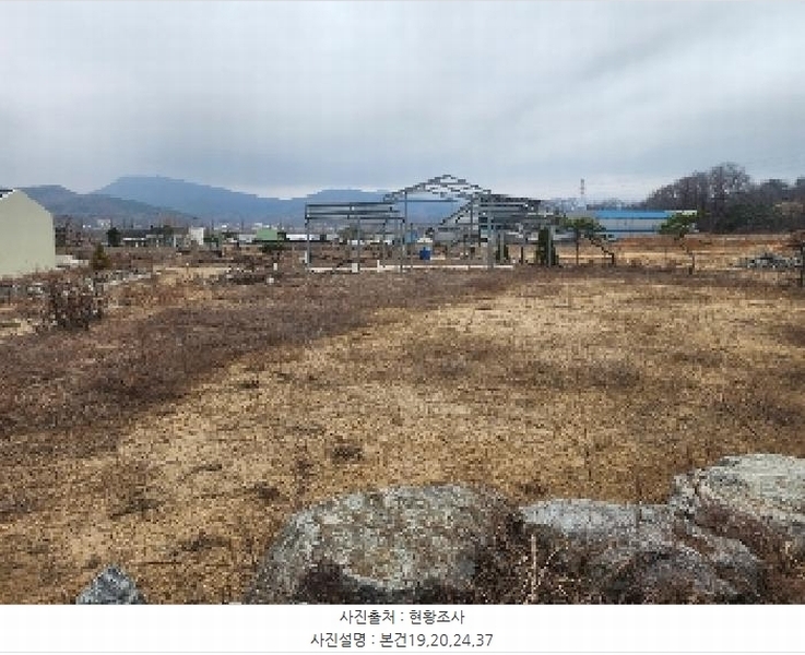 2025타경50953 충청북도 진천군 진천읍 장관리 225-6 과수원 경매 이미지