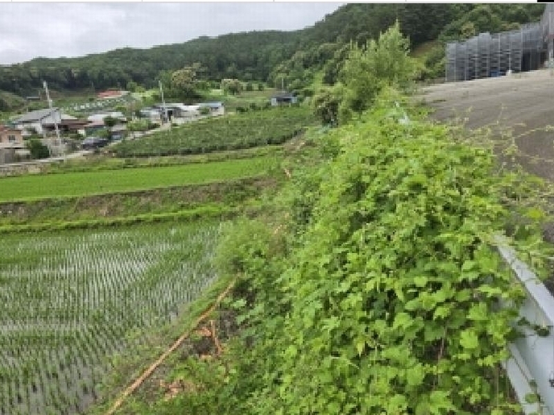 2025타경51268 충청북도 청주시 상당구 미원면 쌍이리 256 공장 경매 이미지
