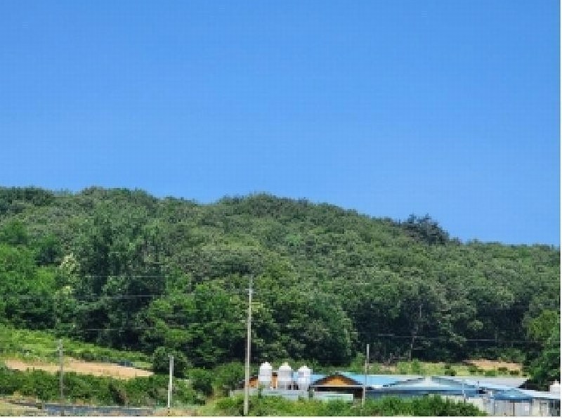 2025타경51335 충청북도 청주시 청원구 오창읍 후기리 산94-32 임야 경매 이미지