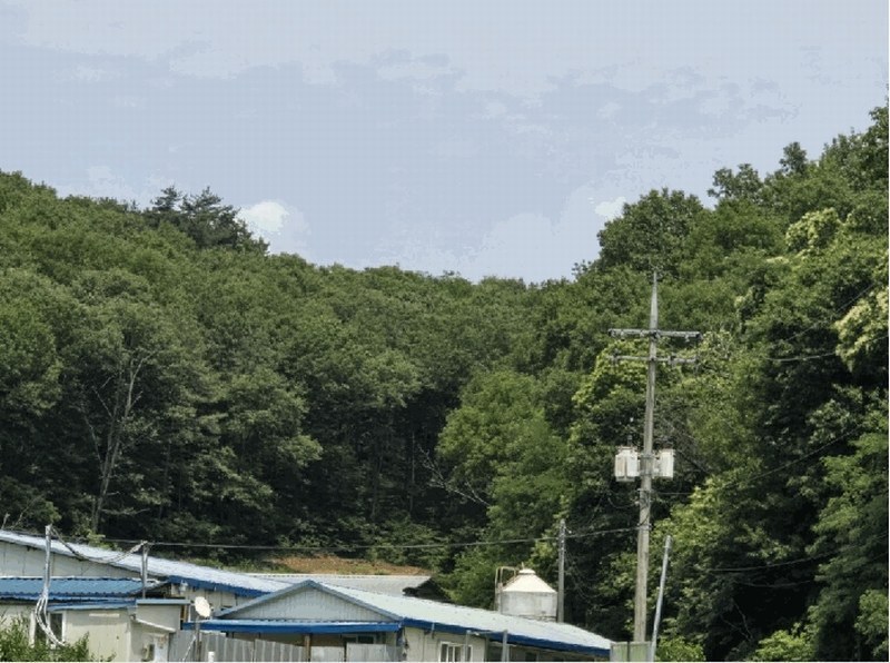 2025타경51335 충청북도 청주시 청원구 오창읍 후기리 산94-32 임야 경매 이미지
