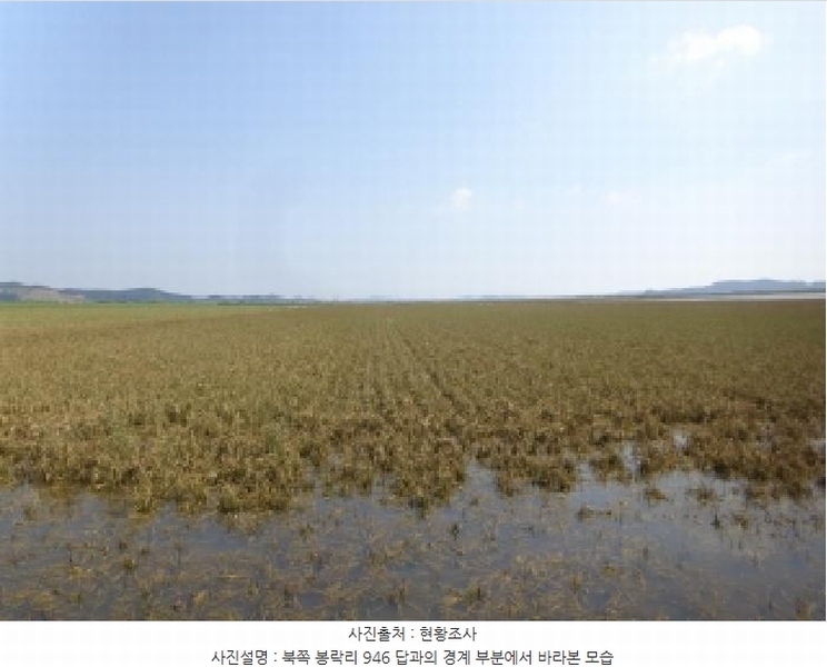 2025타경51532 충청남도 서산시 부석면 봉락리 946-1 농지 경매 이미지