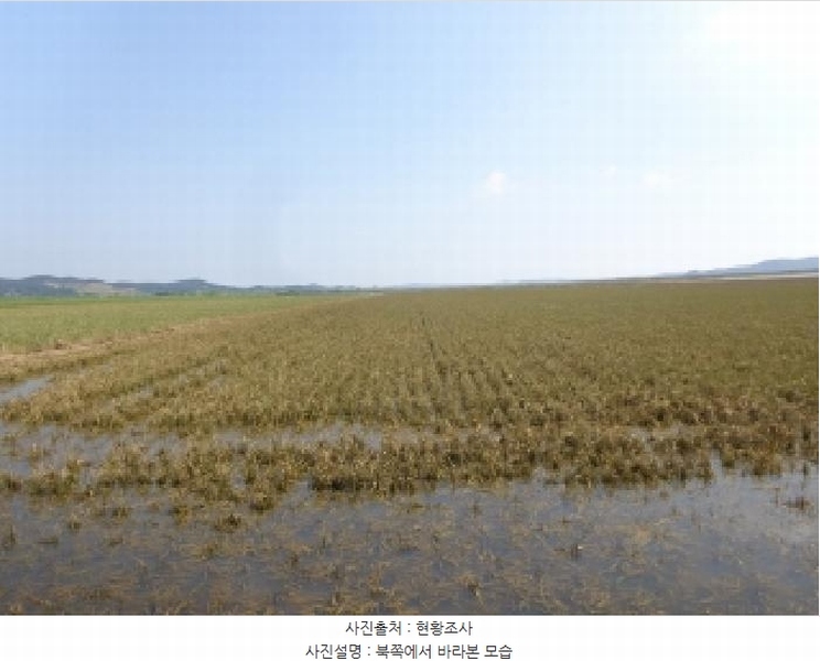 2025타경51532 충청남도 서산시 부석면 봉락리 946-1 농지 경매 이미지