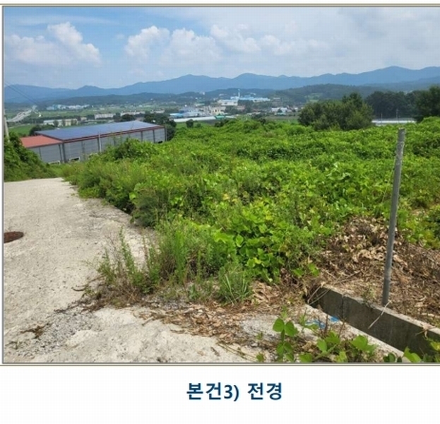 2025타경51543 충청북도 증평군 증평읍 내성리 509 농지 경매 이미지