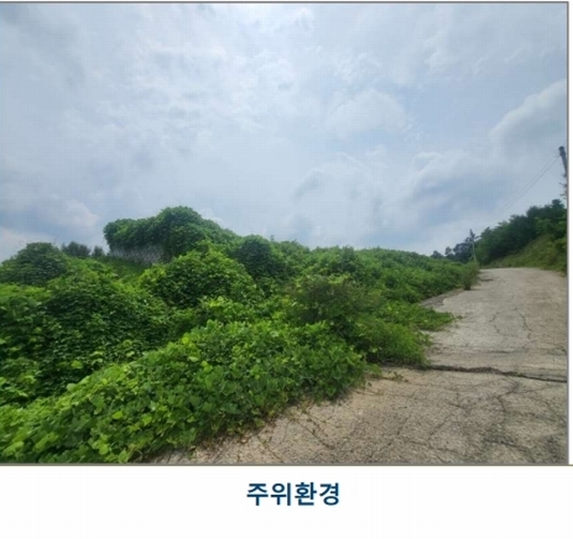 2025타경51543 충청북도 증평군 증평읍 내성리 509 농지 경매 이미지