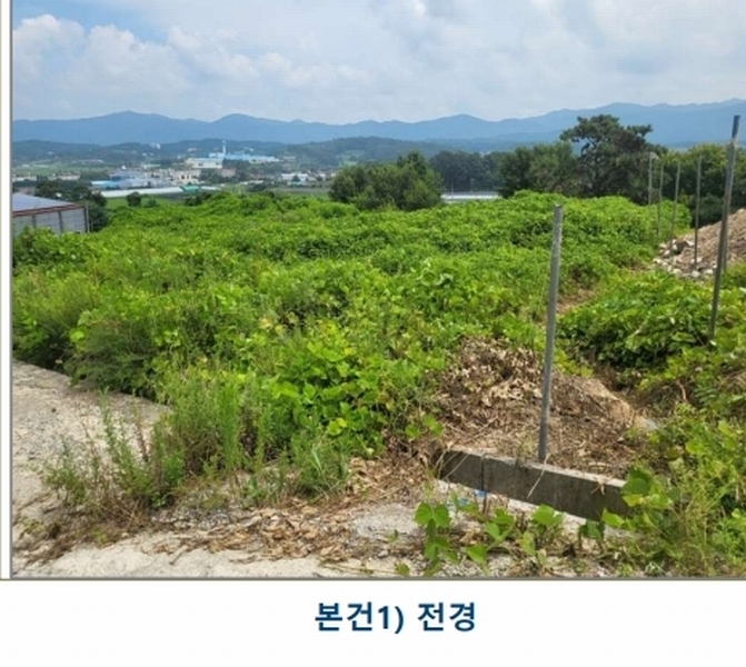 2025타경51543 충청북도 증평군 증평읍 내성리 509 농지 경매 이미지
