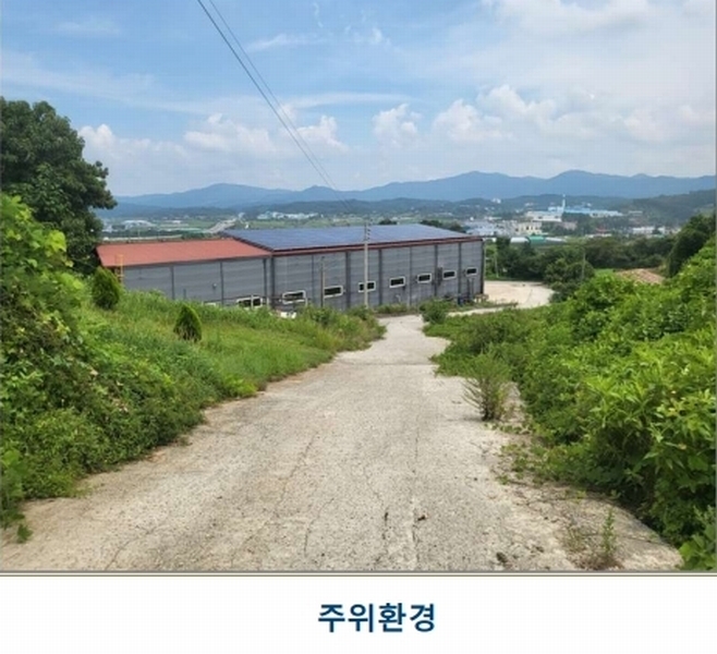 2025타경51543 충청북도 증평군 증평읍 내성리 509 농지 경매 이미지