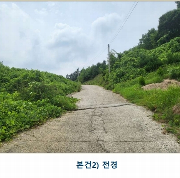 2025타경51543 충청북도 증평군 증평읍 내성리 509 농지 경매 이미지