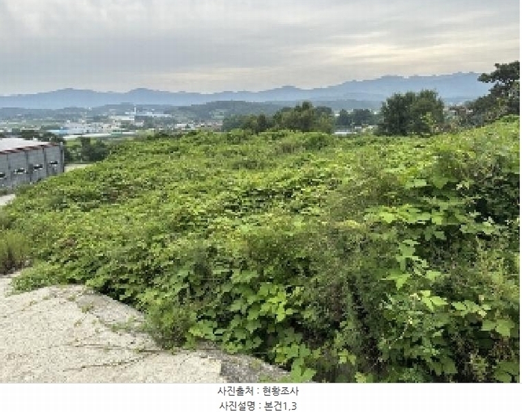 2025타경51543 충청북도 증평군 증평읍 내성리 509 농지 경매 이미지