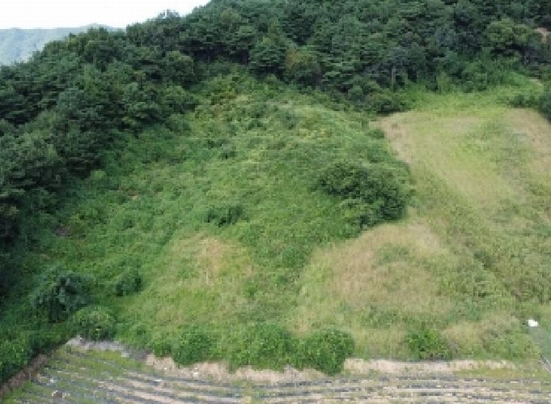 2025타경51649 충청북도 보은군 산외면 백석리 8-18 농지 경매 이미지