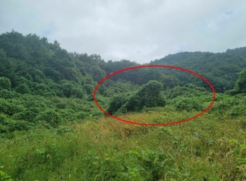 2025타경51649 충청북도 보은군 산외면 백석리 8-18 농지 경매 이미지