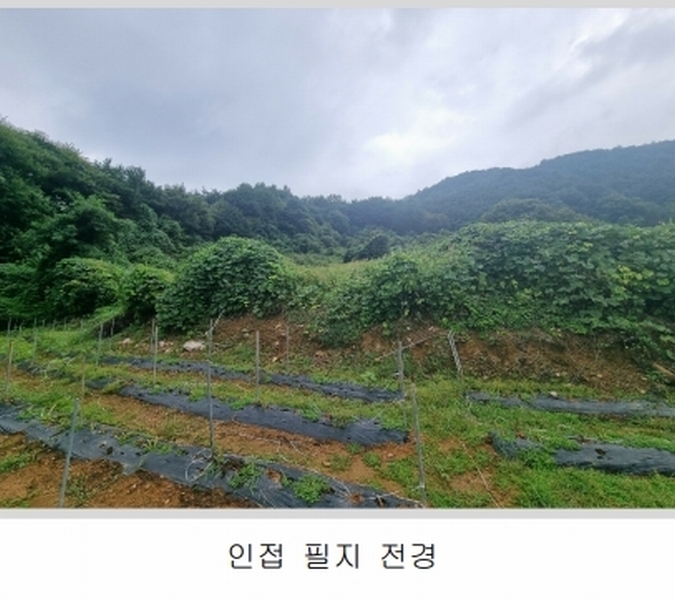 2025타경51649 충청북도 보은군 산외면 백석리 8-18 농지 경매 이미지