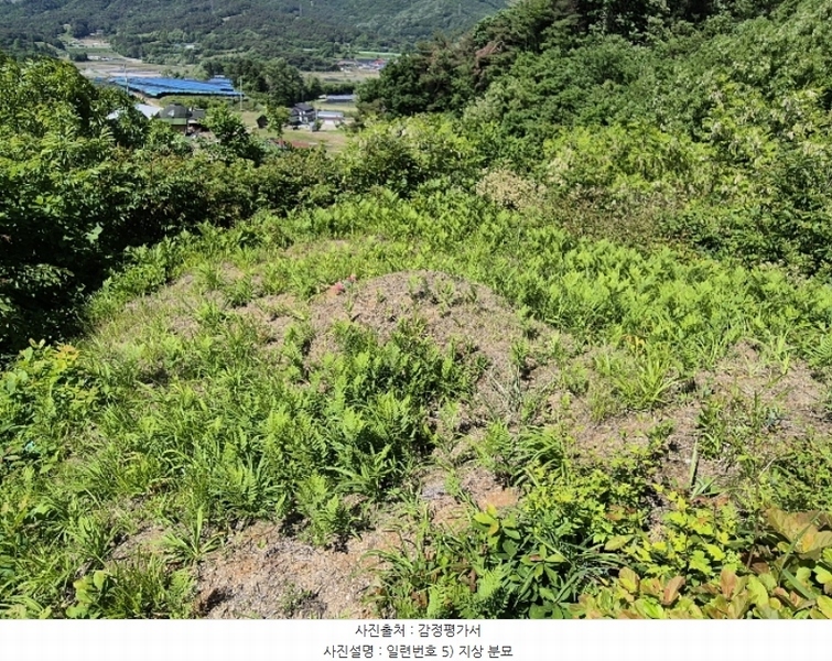 2024타경55088 충청북도 괴산군 사리면 수암리 391-3 농가관련시설 경매 이미지