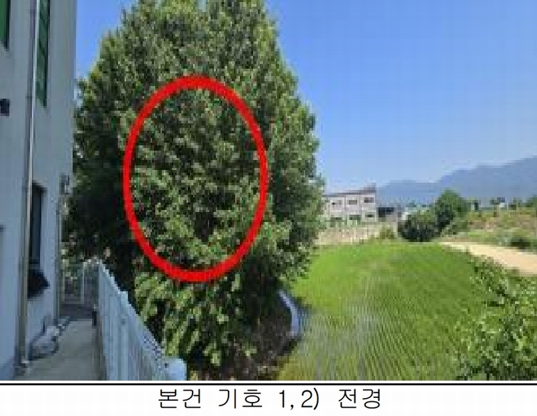 2025타경2968 충청북도 청주시 청원구 북이면 옥수리 88-2 농지 경매 이미지