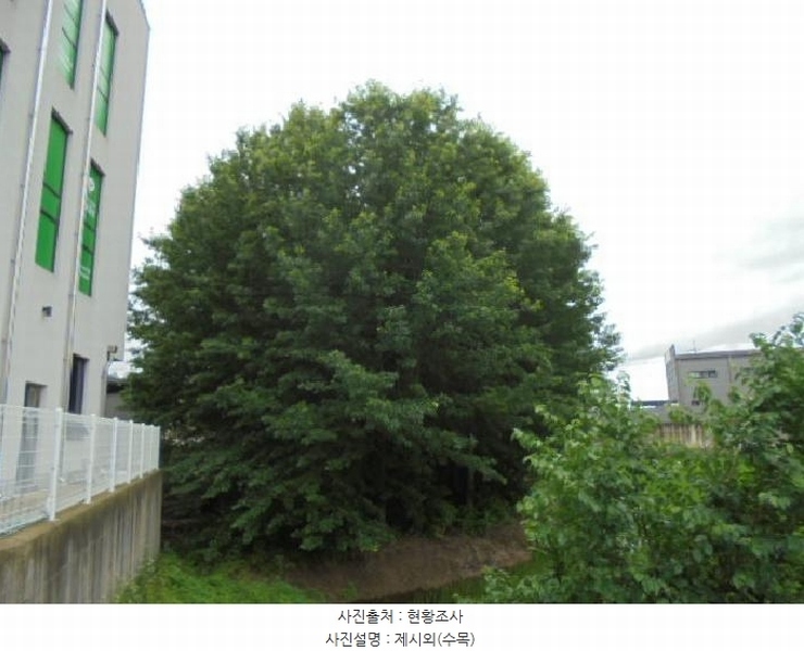 2025타경2968 충청북도 청주시 청원구 북이면 옥수리 88-2 농지 경매 이미지