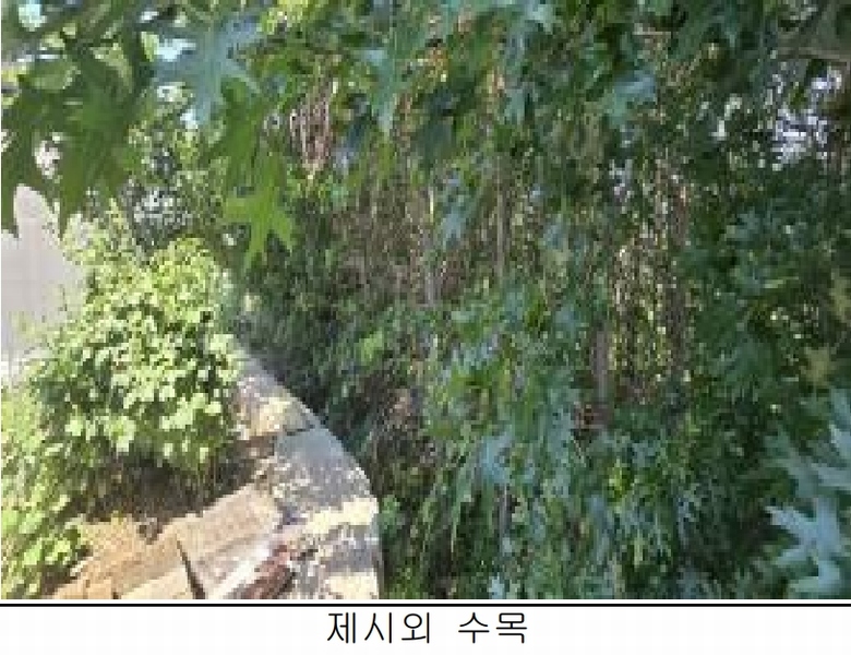 2025타경2968 충청북도 청주시 청원구 북이면 옥수리 88-2 농지 경매 이미지